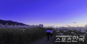 부산 화명생태공원, 가을 끝자락 빛난다