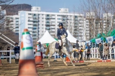 순천시, 제1회 팔마 유소년 승마대회 성황리 마무리
