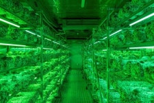 부산 사회적 경제 제품 베스트 10 공개