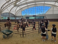 영광군승마장, 합리적 가격의 쿠폰제 회원 운영