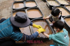 자연체험활동으로 인성교육 실천 .. 서울 탑산초병설유치원