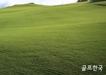 [장보구의 빨간벙커] 이번 겨울에 골프를 즐기는 방법