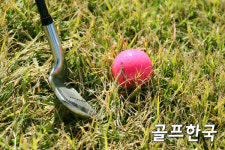 [한성진박사의 골프백과사전] 자연스럽고 효율적인 골프스윙