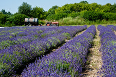 캐나다 온타리오 최고의 여행 - Part 1