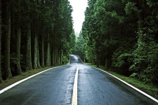 로케이션 매니저의 일상적 로드트립