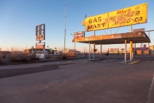 그레이하운드에 관하여