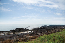 올드독과 떠난 제주 여행 - Part 2