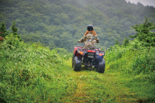 제주의 숲을 즐기는 여섯 가지 방법