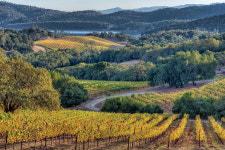 존경의 마음 담은 와인의 품격