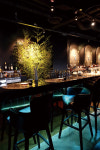 Chinese Fine-Dining