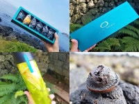 제주도 가볼만한곳 제주바솔트, 제주특산물 활용한 제주돌빵 높은 만족도 얻어
