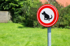 경기도, 2022년까지 경기도 반려동물 놀이터 76개 조성 예정