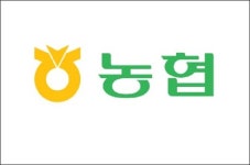 농협, 장애인 384명 특별채용… 사회적 책임 강화할 것