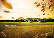 [아유경제_경제] 농업진흥구역에서 농어촌민박사업 불가