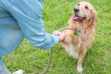 [아유경제_부동산] 창원시 반려동물 놀이터 올해 6월 개장… 2022년 반려동물 지원센터 계획