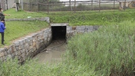 [아유경제_사회] 합참 탈북민, 연미정 인근 배수로 통해 월북