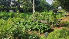 [아유경제_행정] 대구공공시설관리공단, 올해 3월 3일까지 주말농장 무상 분양 실시