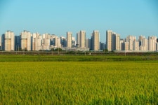 [아유경제_부동산] 국토부-지자체, 도시정비사업 협의회 개최… 사업 속도 제고 방안 논의했다