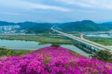[아유경제_부동산] 대구시, 군부대 이전 예정 군위군 인곡리 토지거래허가구역 지정
