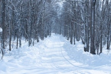 [아유경제_행정] 국토부, 한국도로공사 지역본부 실태 점검… 겨울철 고속도로 안전 강화