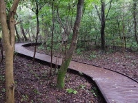 서귀포자연휴양림, 무장애나눔숲길 개장