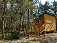 붉은오름자연휴양림 내 숲속야영장, 내년초 개장