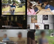 ‘PD수첩’ 케어 동물국장 임모씨는 부천 개농장...