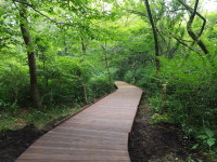 붉은오름자연휴양림, 무장애 나눔숲길 조성완료