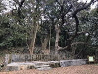 제주특별자치도, ｢한남리 본향당｣ 향토유형유산 지정