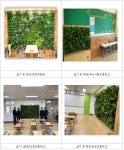 195명 어르신 손길 품은 제주 자생식물 빌레낭, 전국구로 간다