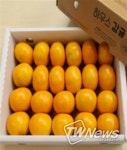서귀포in정 한가위 기획전 5억 매출 달성 쾌거