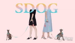 스페이스독(SPACEDOG), 특별한 이벤트 진행