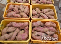 연천군 미산면 관내 주민, 이웃돕기 후원물품 고구마 10상자 기탁