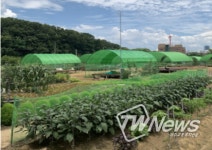 금천구, 캠핑부터 농장 체험까지˙˙˙힐링하러 오세요