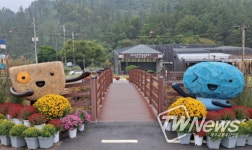 포천 한탄강 세계지질공원센터, 가을꽃 향기로 물들다