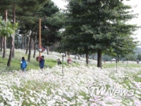 가평군 자라섬 남도가 전하는 꽃의 위로, 진심을 전하다