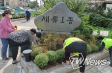 수원시 권선구 세류1동, 가을꽃으로 마을꽃길 새단장