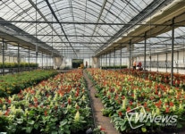 통영시, 가을 맞이 도시경관 개선