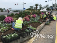 제주시, 주요 도로변 계절화 식재 추진