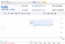 [특징주] 대주산업 주가 하락세…이유는?