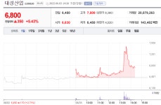[특징주] 대성산업 주가 5% 상승…네온가스 관련주 주목