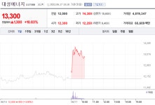 [특징주] 대성에너지 주가 10% 상승...이유는?
