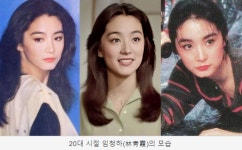 ‘동방불패’ 린칭샤, 홍콩 1800억 저택 화재 발생…인명피해 無