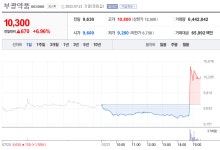 [특징주] 부광약품 주가 6% 상승…이유는?