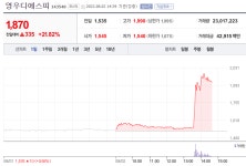 [특징주] 영우디에스피 주가 21% 상승…이유는?