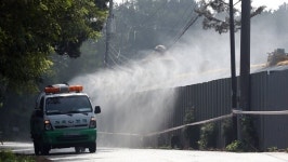강원 철원서 아프리카돼지열병 발생...경기·강원 북부 24시간 이동중지 명령