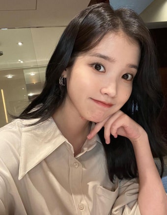 아이유, 악플러 300만원 벌금형…