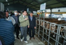 청정 제주한우 경쟁력 강화로 제주축산 업그레이드