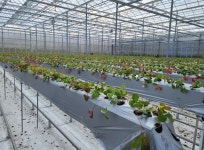 당진시, 스마트팜 경영실습 청년농업인 모집