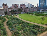 도심 속, 텃밭 가꿔볼까? 시흥시, 도시농업공원 시민행복텃밭 참여자 모집